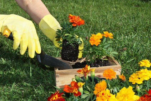 Worker wearing PPE operating a powered hedge trimmer