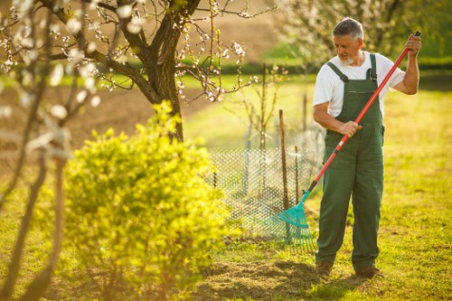 Tools and equipment for hedge trimming