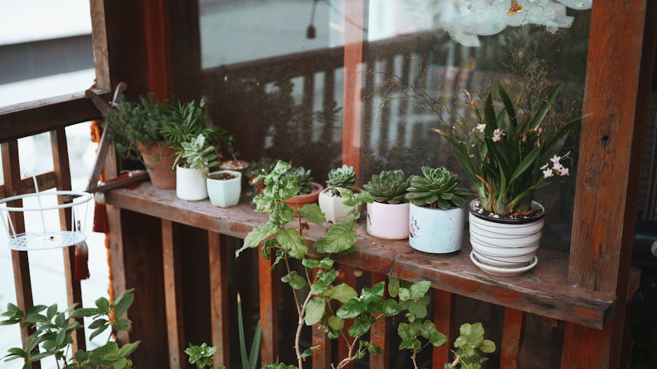 A small, well-maintained terrace garden featuring a wooden deck with outdoor seating, including two benches with cushions and a low wooden table. The space is bordered by lush green plants and shrubs,
